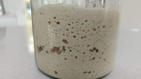 Glutenfri surdej